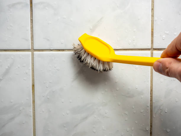Best Fast Mold Removal  in Boerne, TX