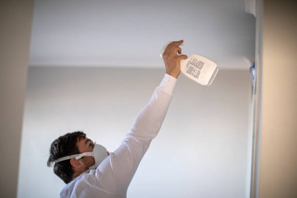 Best Professional Mold Removal  in Boerne, TX